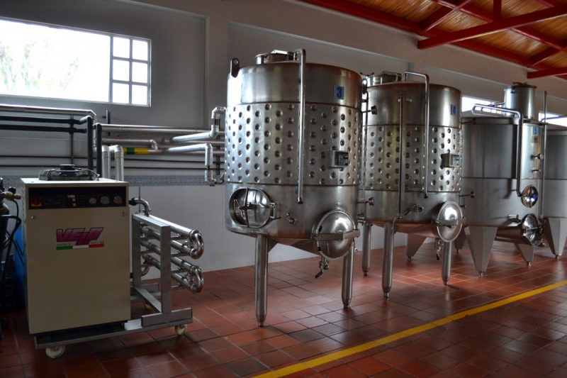 cave-FIGANIERES-min_wine_production_cantine_winery_drink_alcohol_vine_beverage-902036